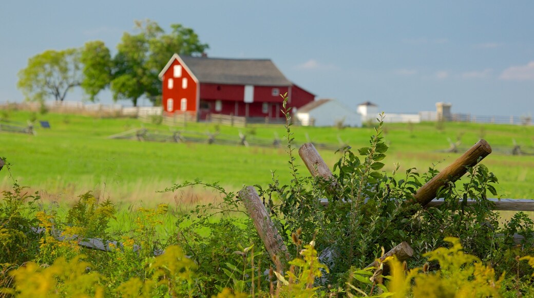 Gettysburg National Military Park mostrando vistas de paisajes y escenas tranquilas