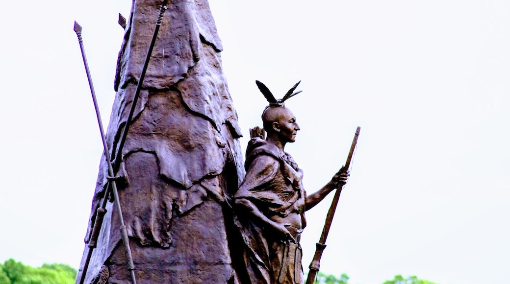 #history
Chief Tammany