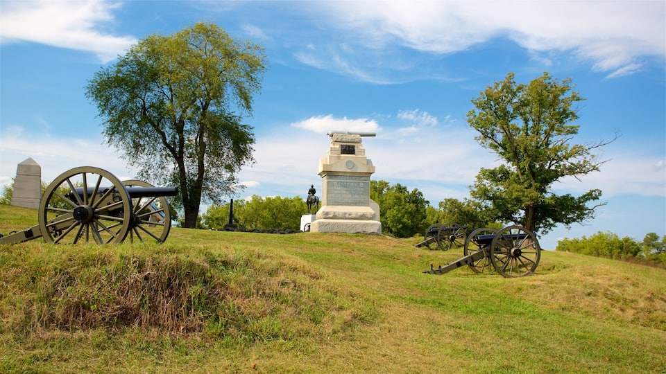 A historical battlefield with cannons and a monument.