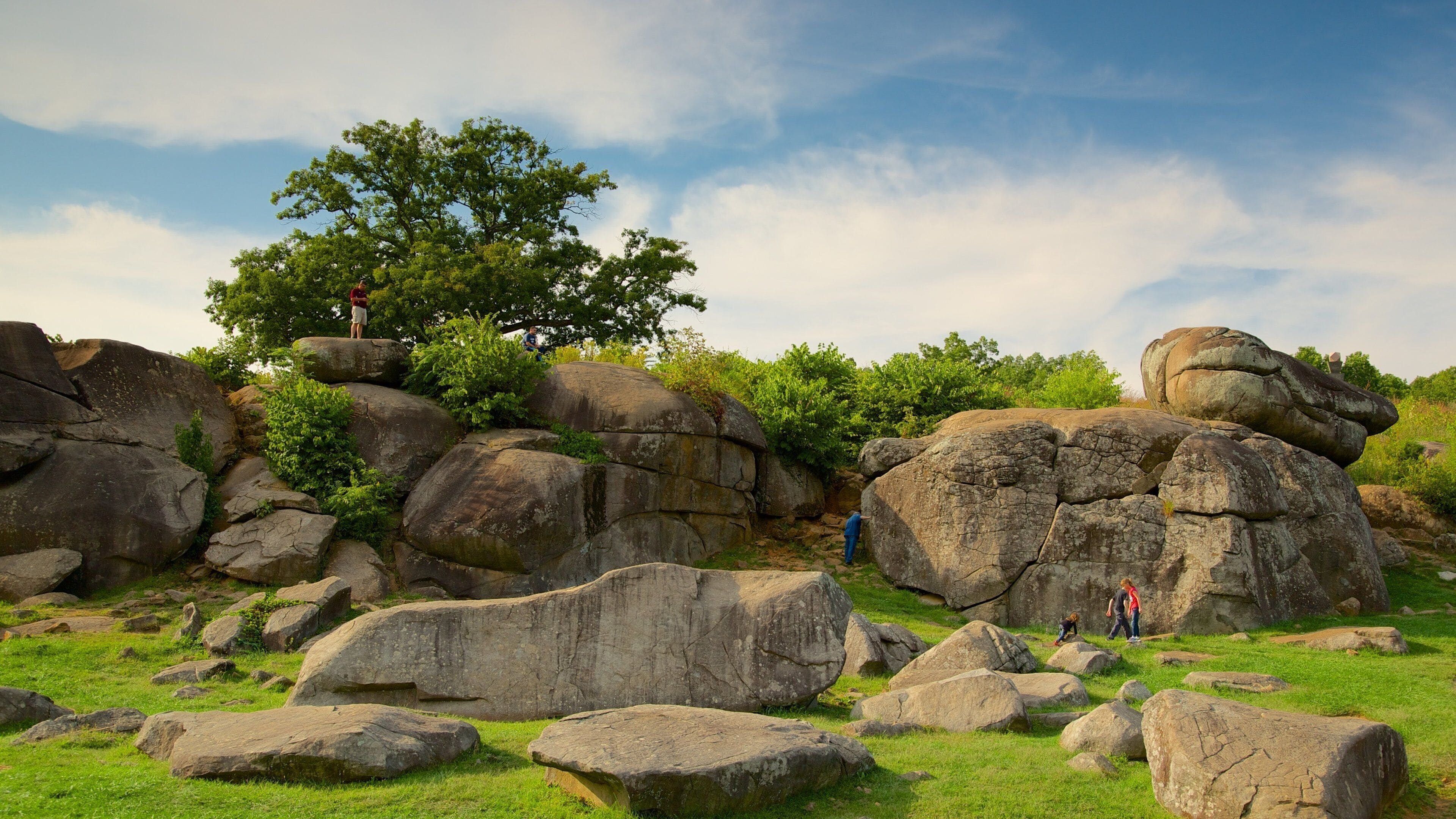 Large boulders, grassy terrain, and a tree.