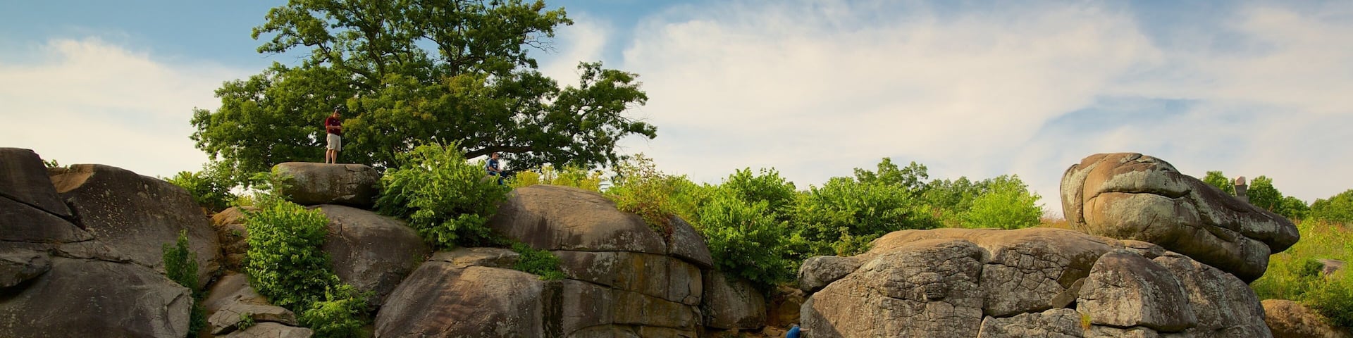 Large boulders, grassy terrain, and a tree.