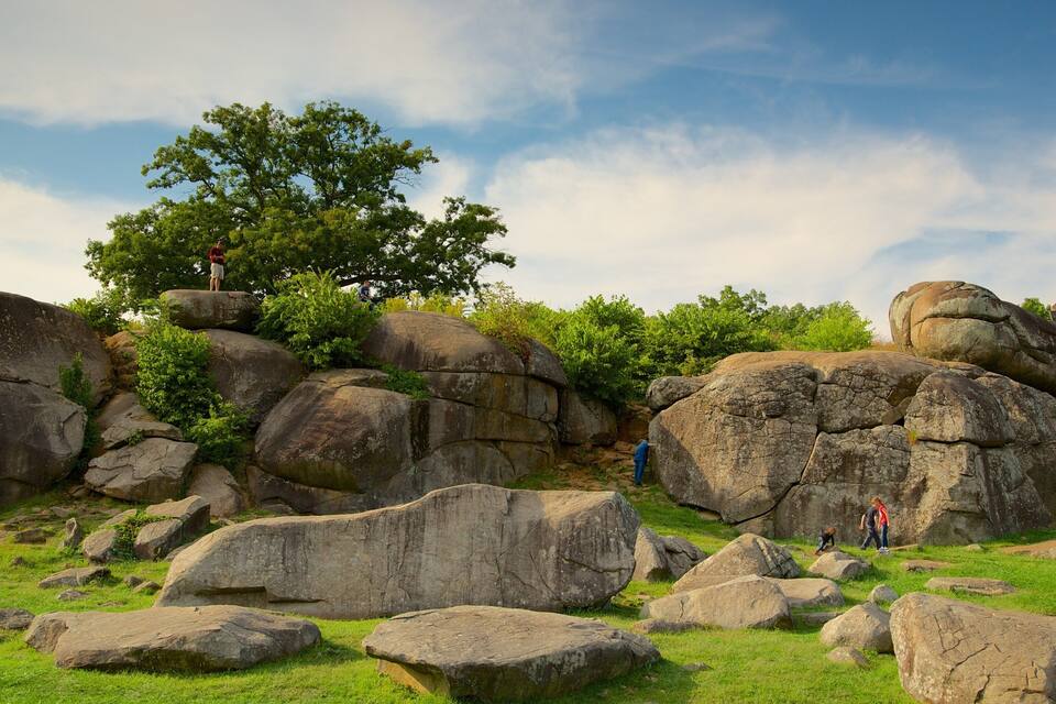 Große Felsen, Rasen und ein Baum.