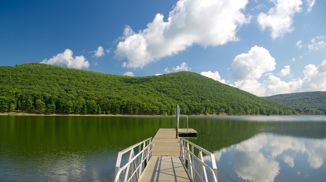 Northwest Pennsylvania showing forest scenes and general coastal views