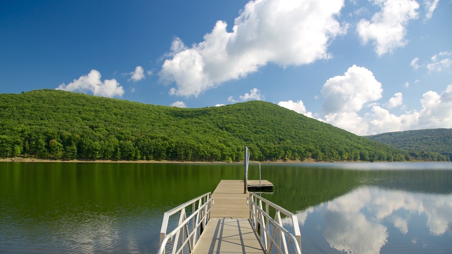 Northwest Pennsylvania featuring general coastal views and forest scenes