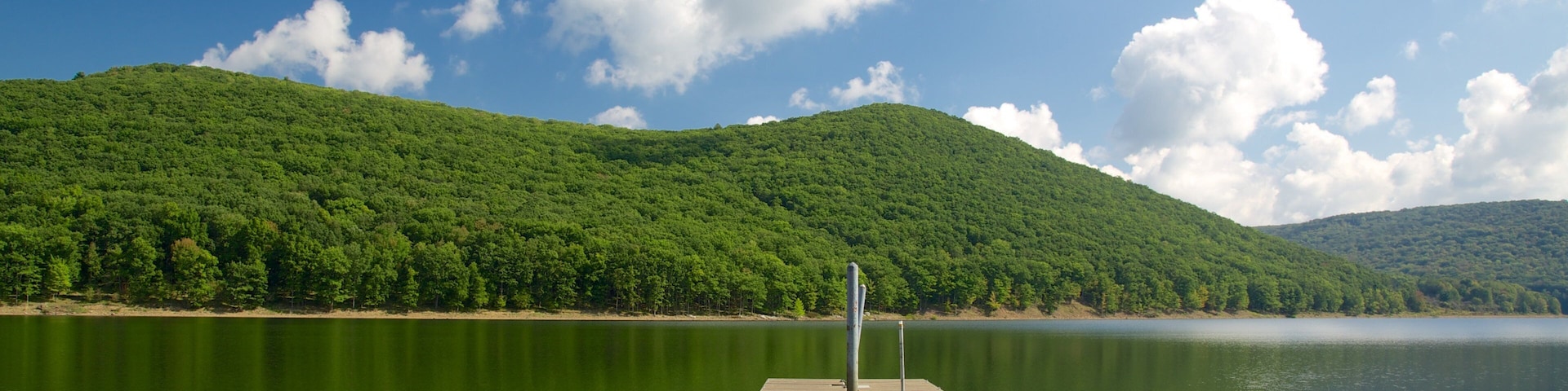 Noroeste de Pensilvânia caracterizando paisagens litorâneas e florestas