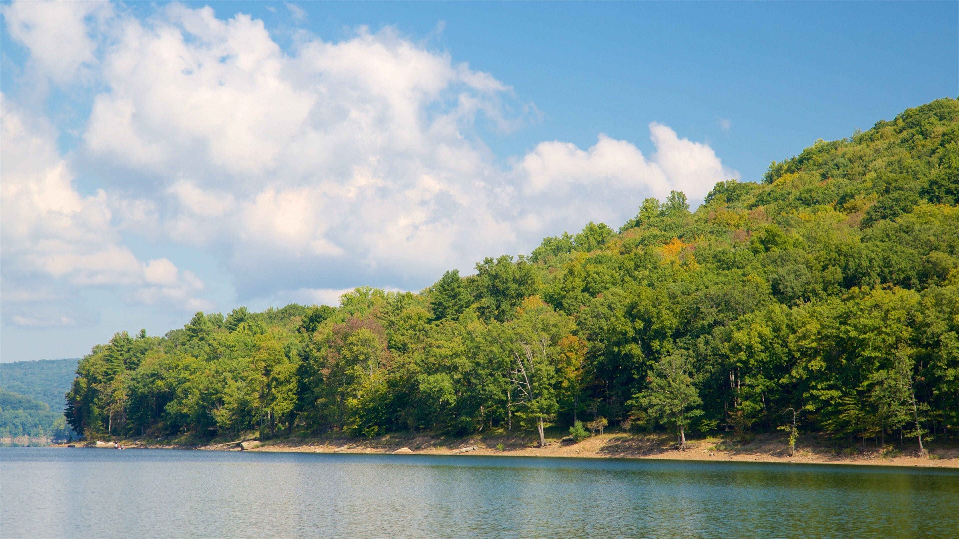 阿勒格尼国家森林公园