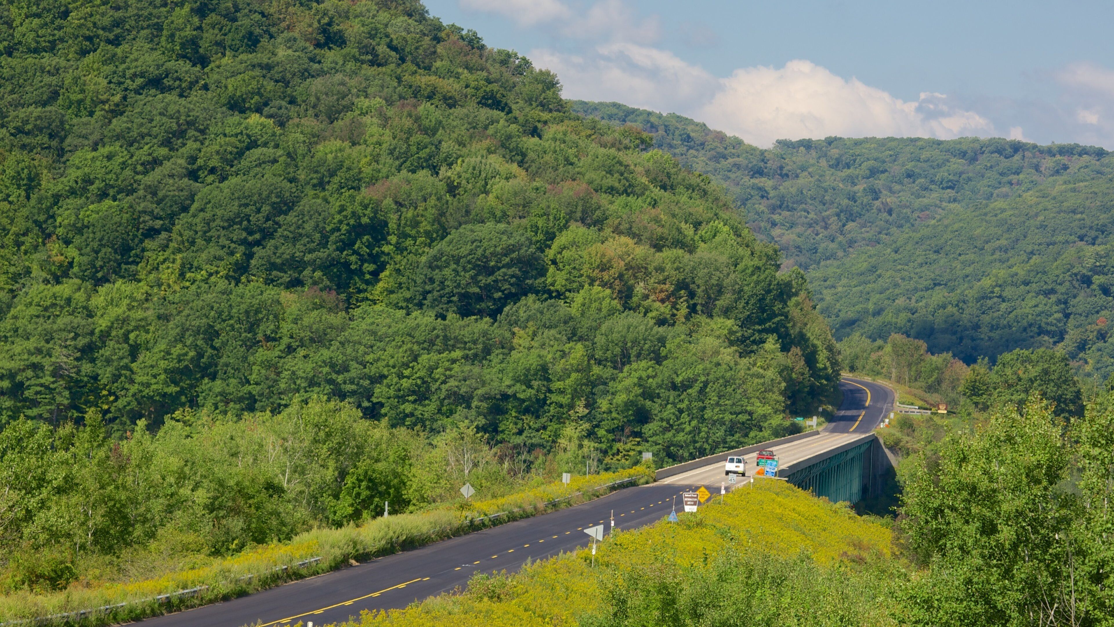 Northwest Pennsylvania featuring forest scenes