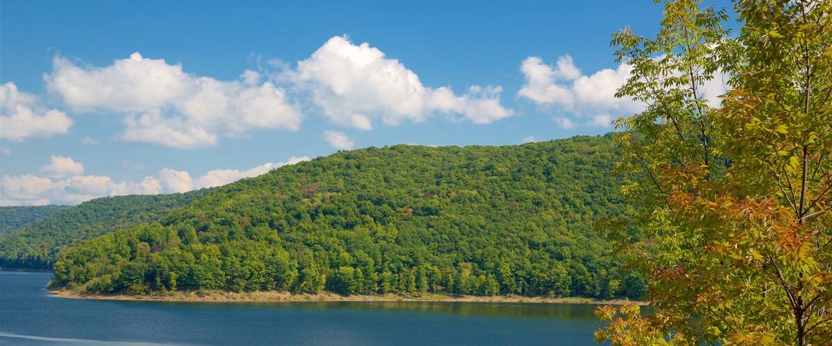 Rừng Quốc gia Allegheny cho thấy cảnh rừng, sông lạch và cảnh thanh bình