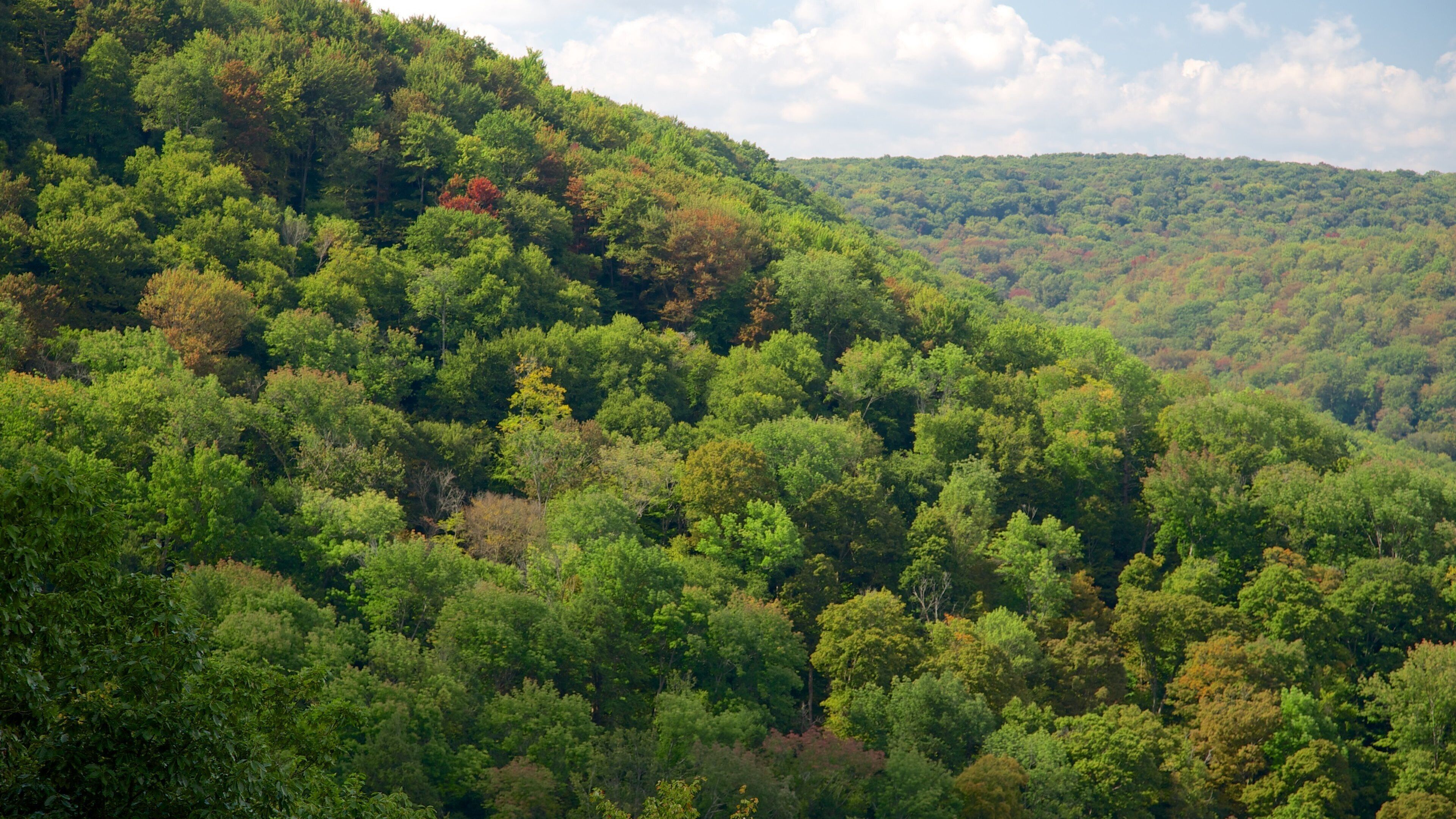 宾夕法尼亚西北部
