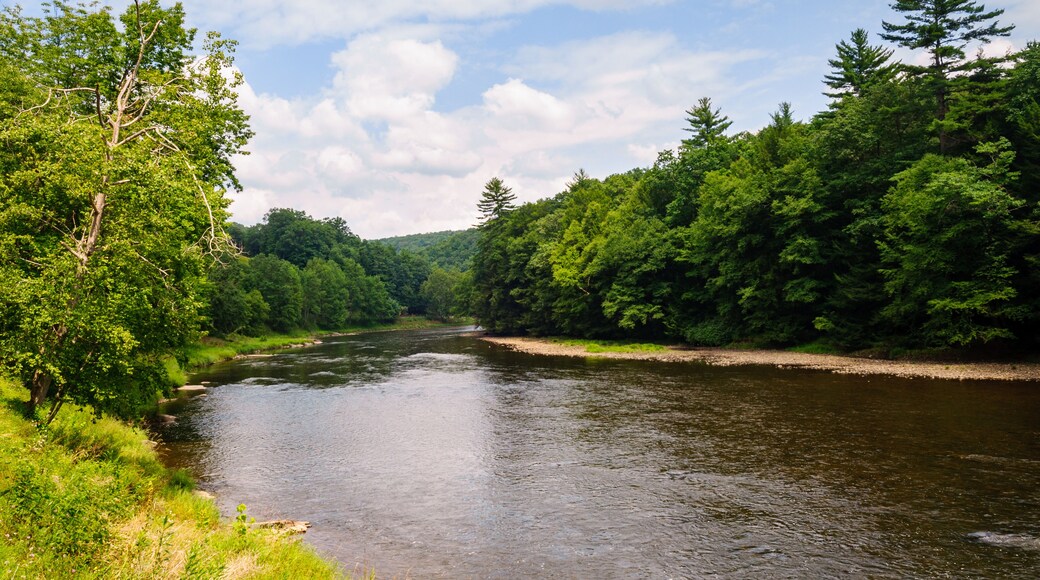 Cook Forest State Park