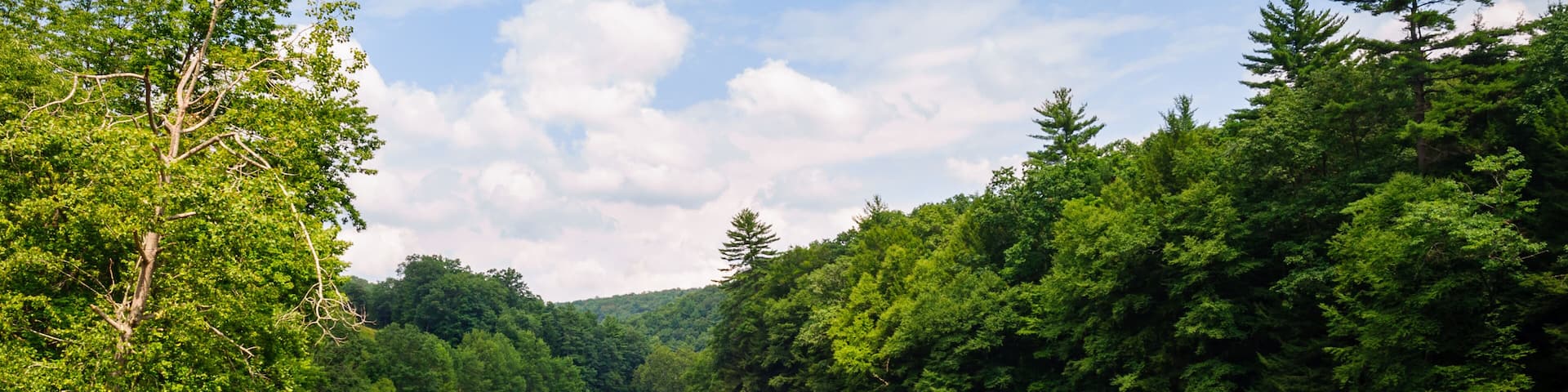 Cook Forest State Park