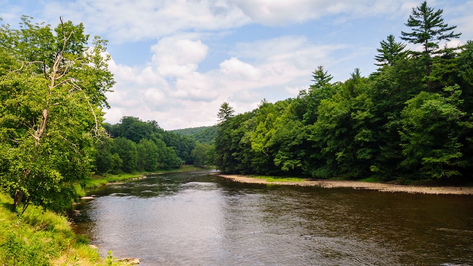A river flowing through a densely forested area with a clear sky.