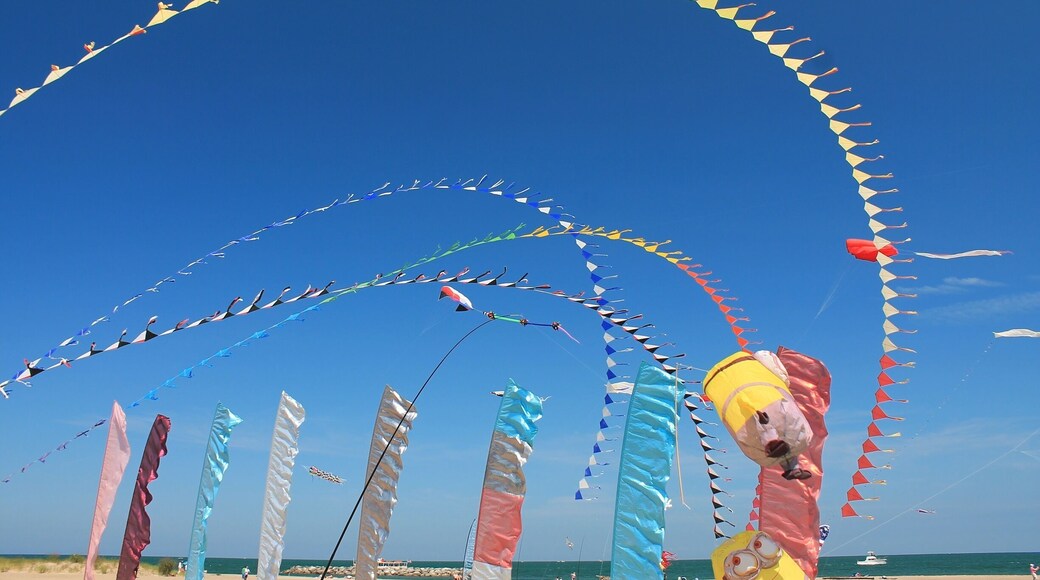 Flags flying in the wind at Lake Erie shore. #colorful #blue #waterlust #EndlessSummer #AquaTrove
