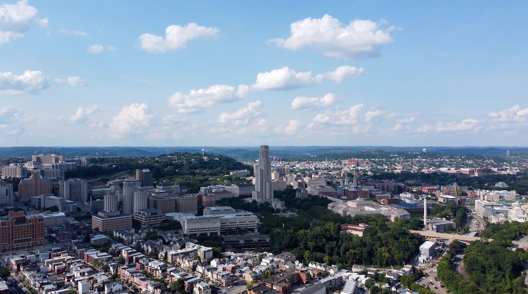 University of Pittsburgh