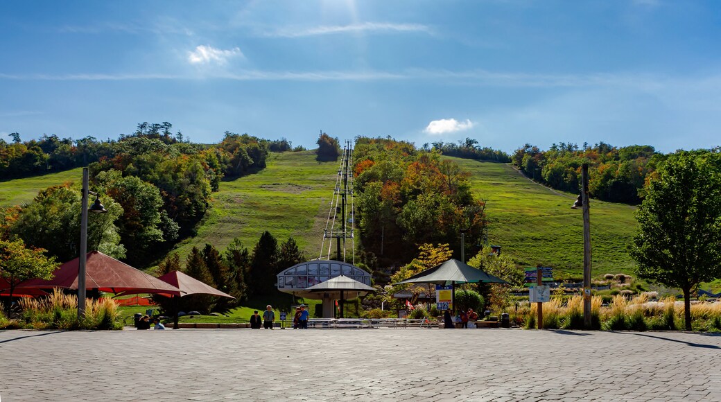 Blue Mountain Resort