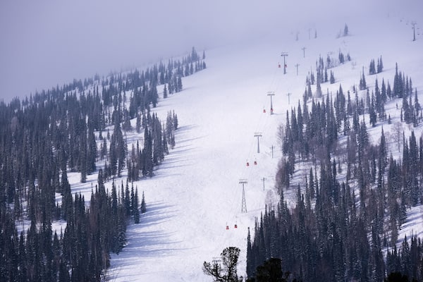 Snow covered trees and mountains