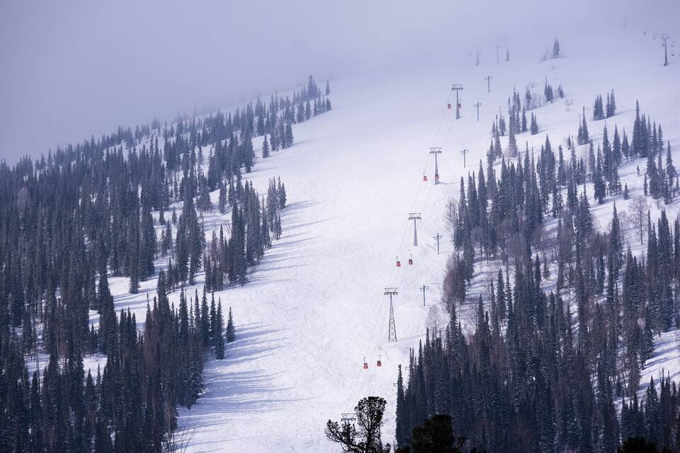 A snowy mountain slope with ski lifts and dense evergreen trees.