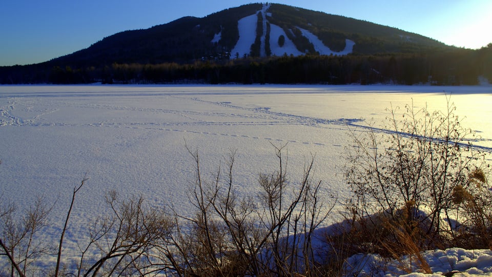 Paisagem coberta de neve, com uma montanha ao fundo e árvores sem folhas em primeiro plano.