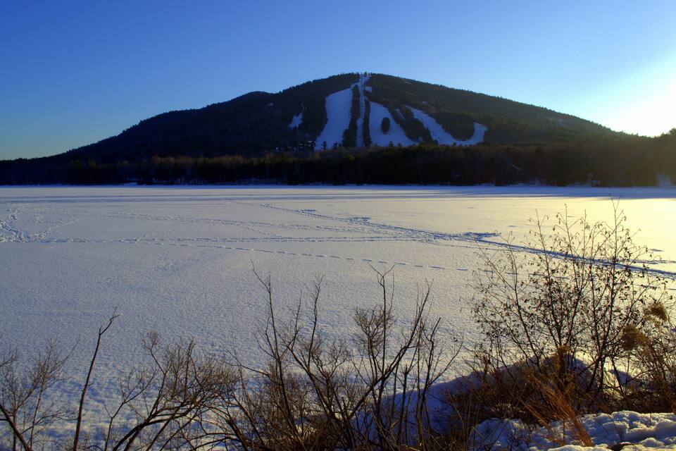 A snow-covered landscape with a mountain in the background and bare trees in the foreground.