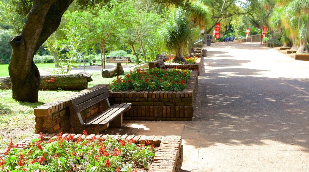 National Zoological Gardens of South Africa mostrando un jardín y vistas de paisajes