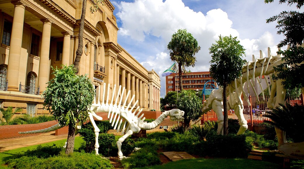 National Cultural History Museum showing a city