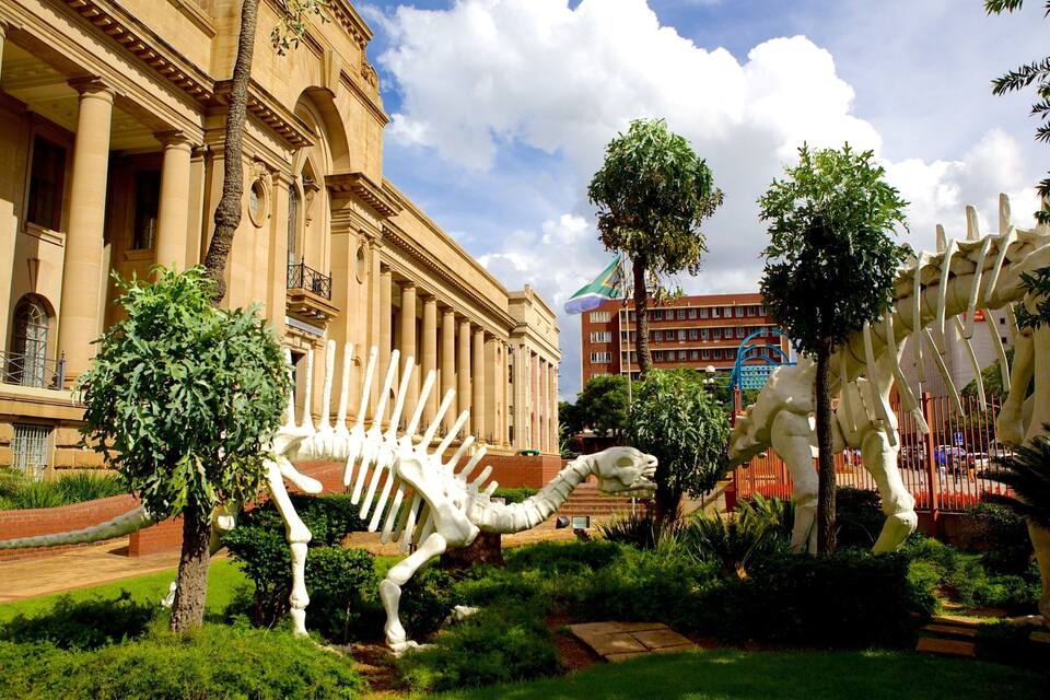 A large dinosaur skeleton in a garden with a classical building in the background.