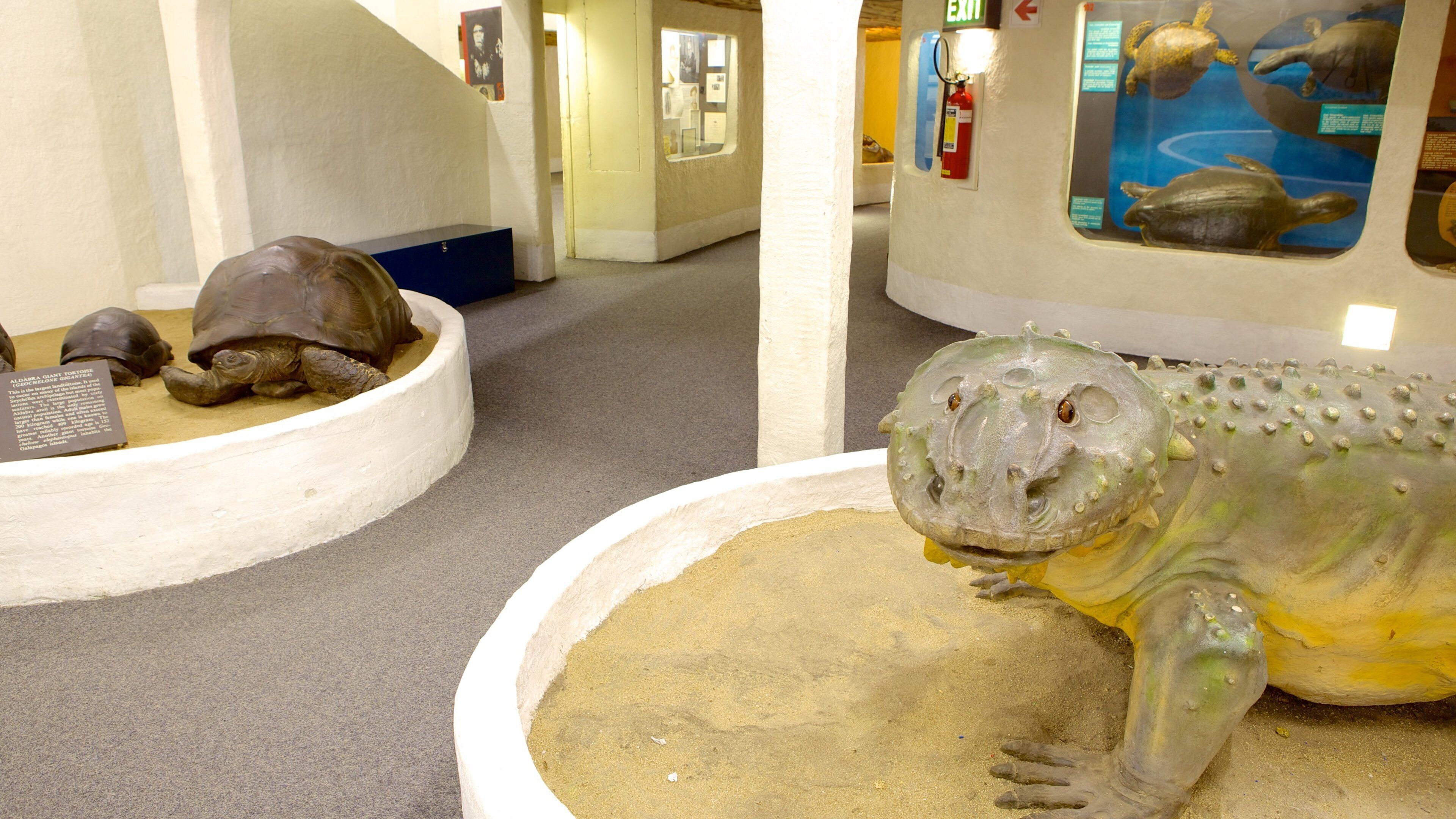 National Cultural History Museum which includes interior views