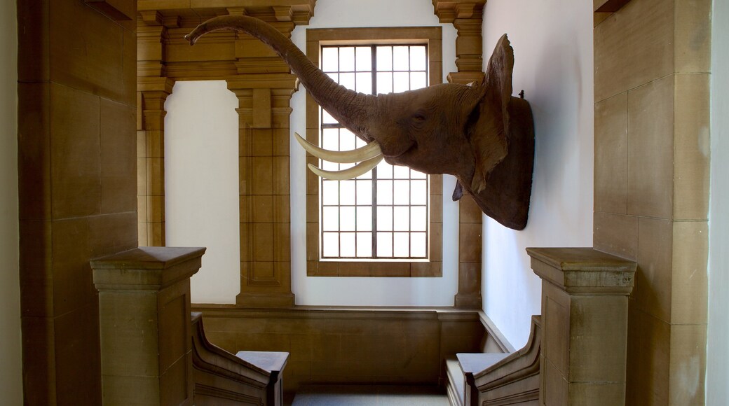 National Cultural History Museum which includes interior views