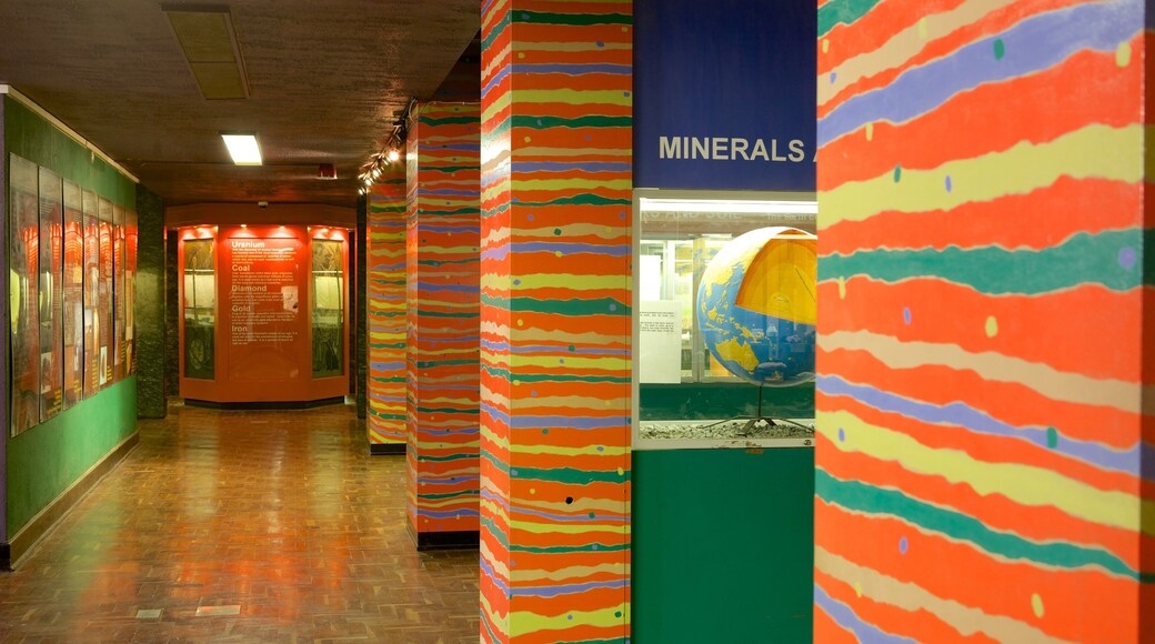 Ditsong National Museum of Cultural History featuring interior views