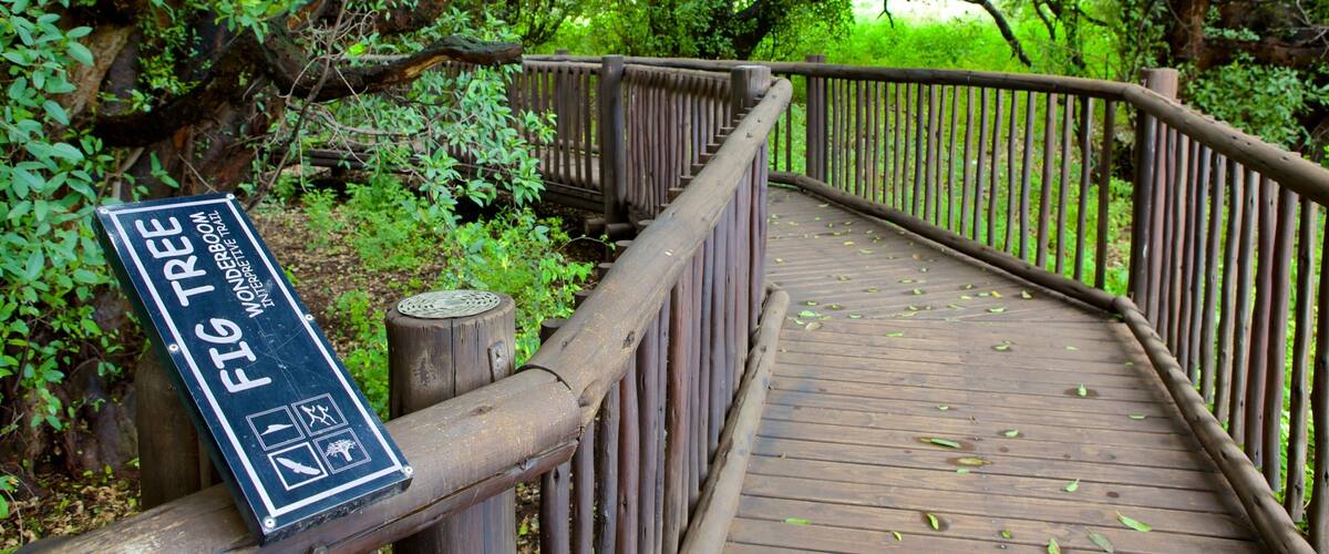 Wonderboom natuurreservaat toont een tuin en bewegwijzering