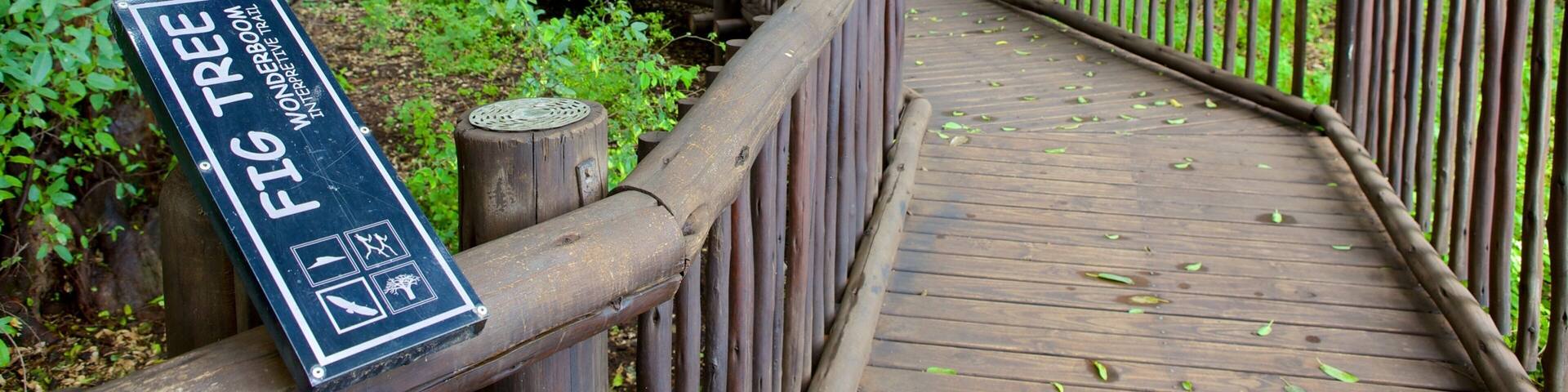 Wonderboom Nature Reserve which includes a garden and signage