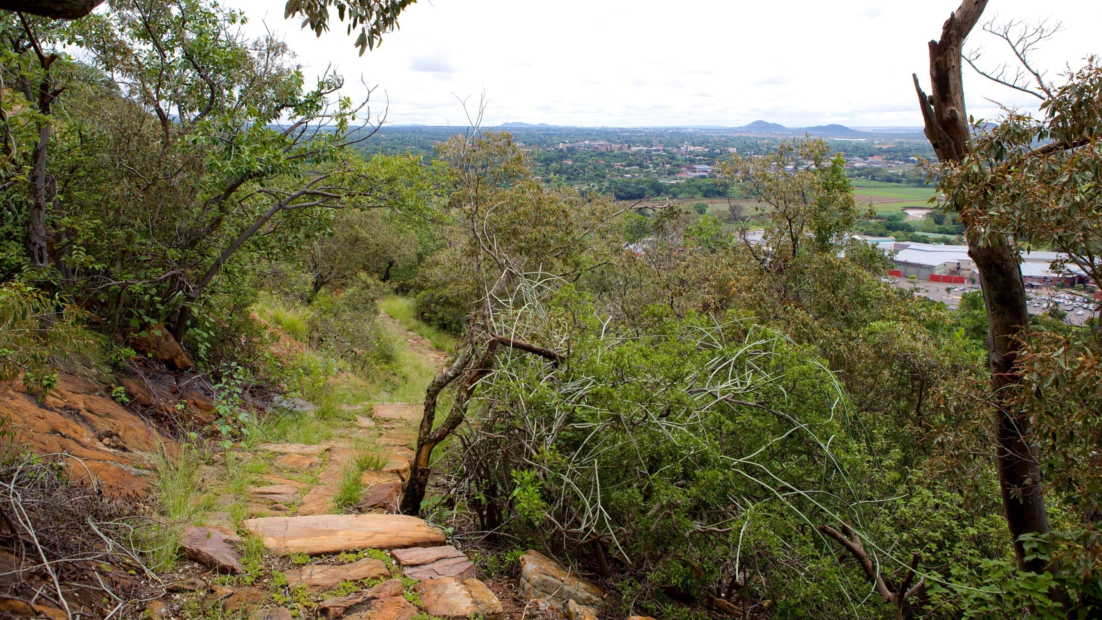 Wonderboom Nature Reserve showing a city and landscape views
