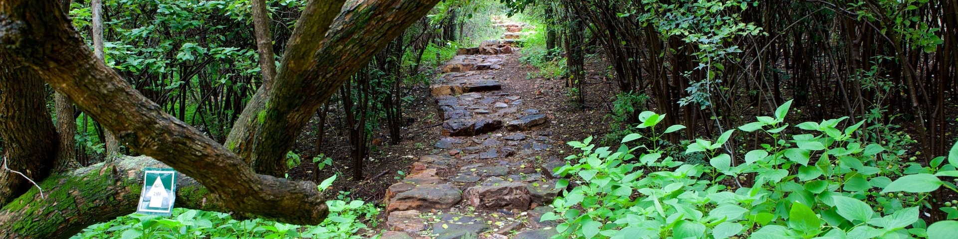 萬德布姆自然保護區 呈现出 熱帶雨林 和 山水美景