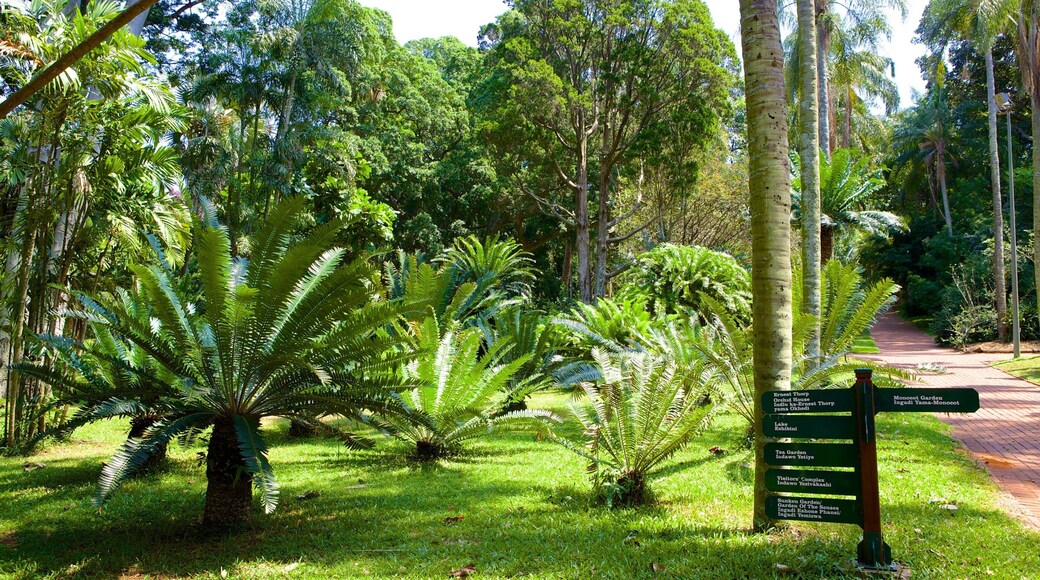Durban Botanical Gardens which includes a garden