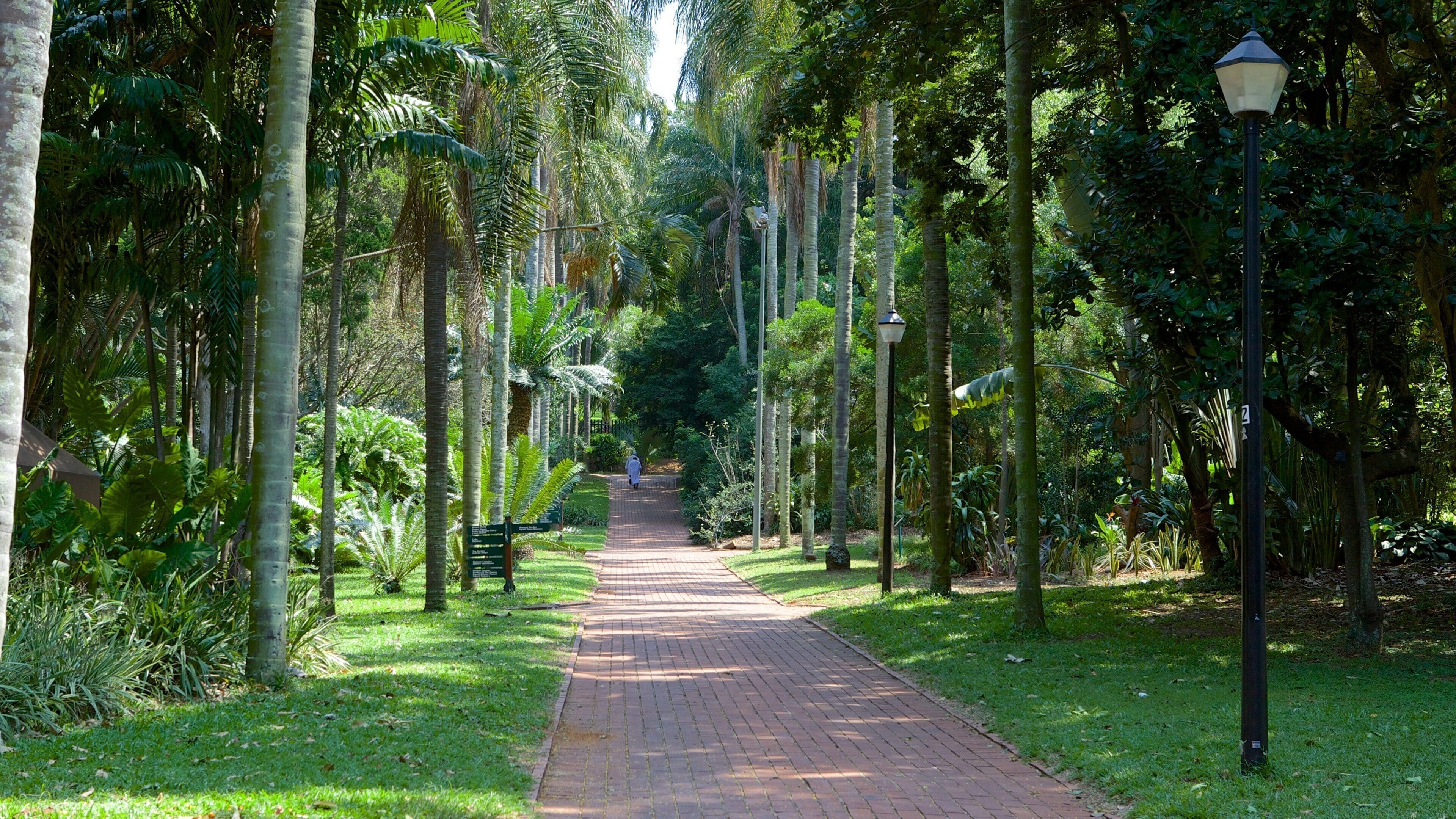 Durban Botanical Gardens featuring a park