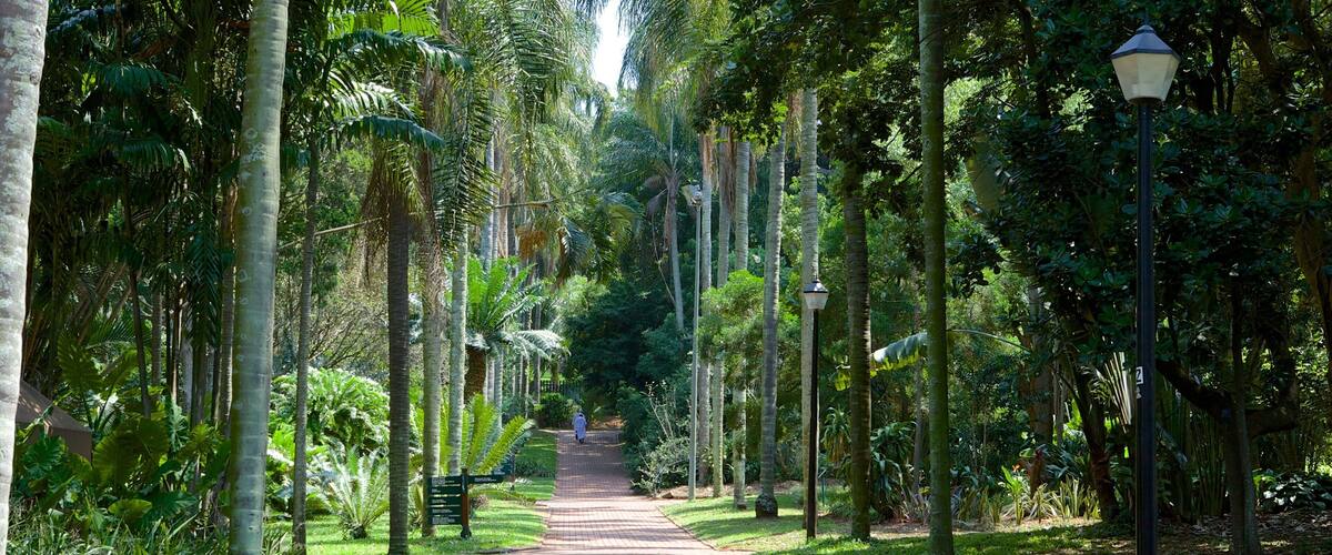 Durban Botanical Gardens featuring a park