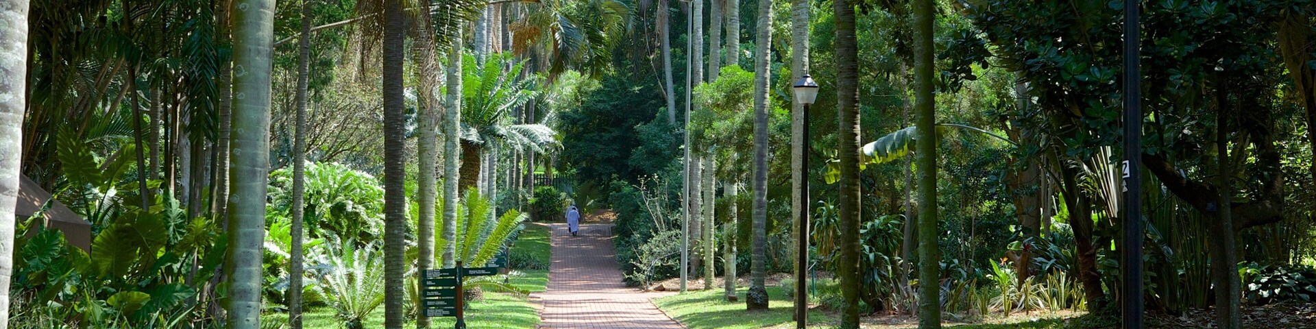 Durban Botanical Gardens featuring a park