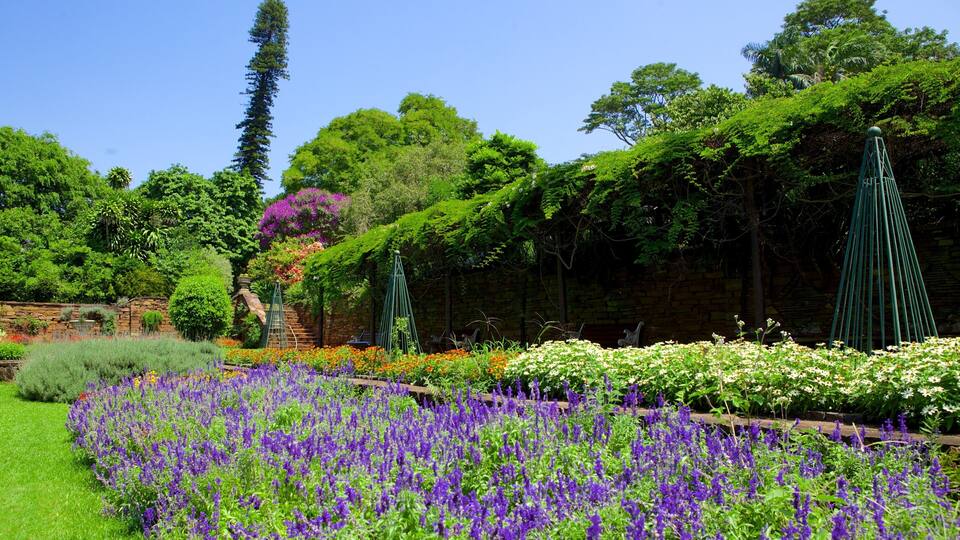 A garden with purple flowers, a stone wall, and green trees.