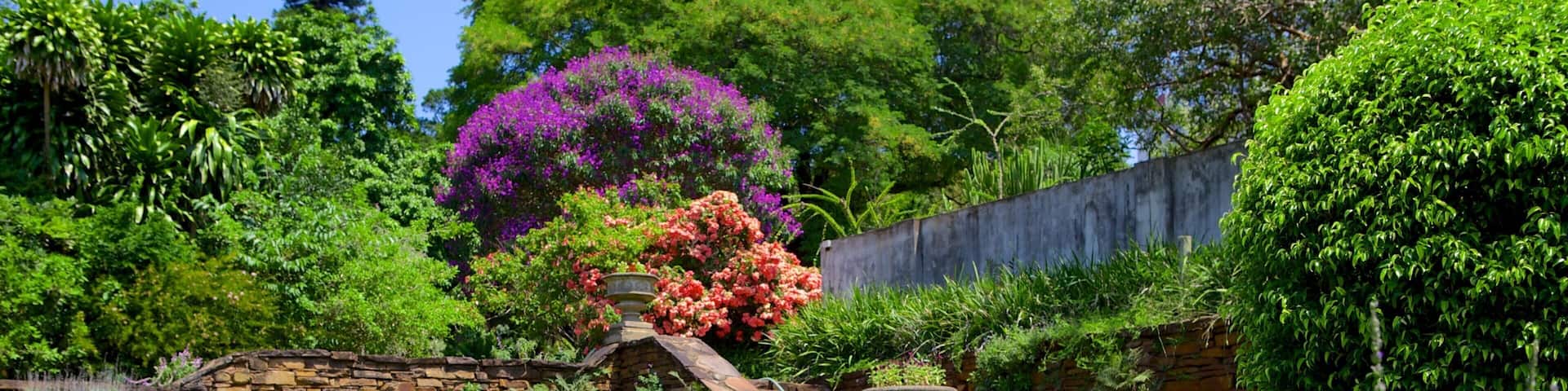 Durban Botanical Gardens showing a park and flowers
