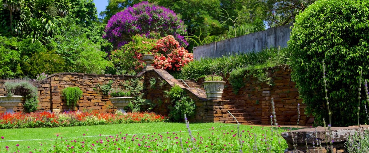 A lush garden with a stone wall, flowering plants, and a variety of trees.