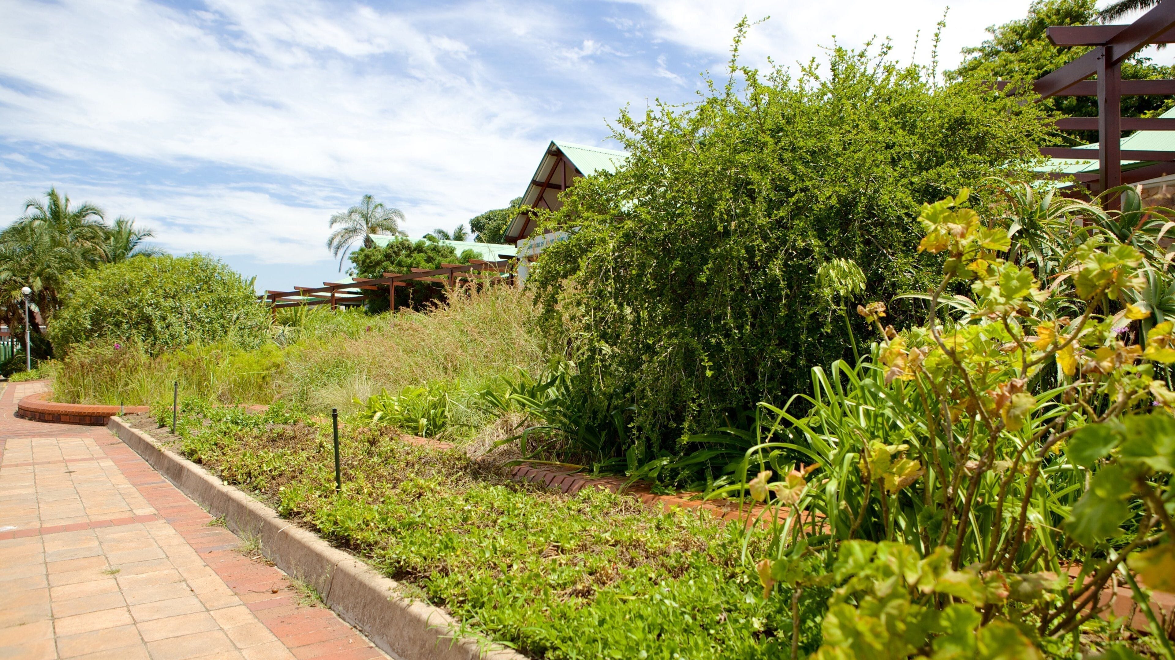Durban Botanical Gardens mostrando un jardín