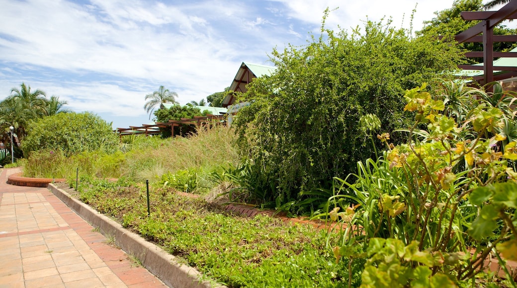 Durban Botanical Gardens mostrando un jardín