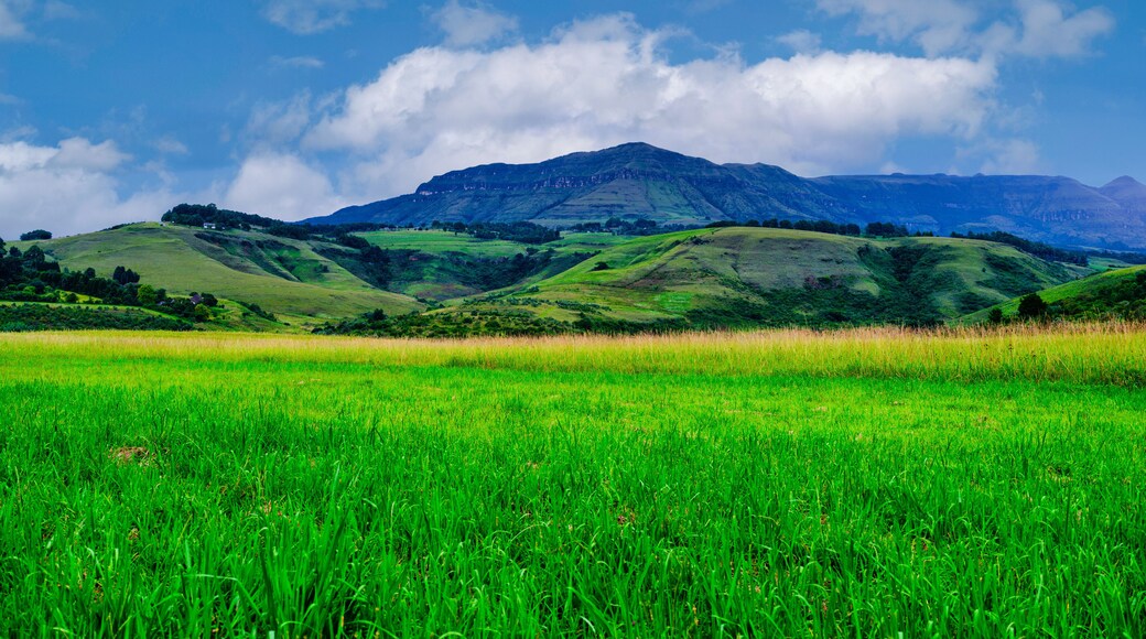 夸特蘭巴山脈-德拉肯斯堡公園