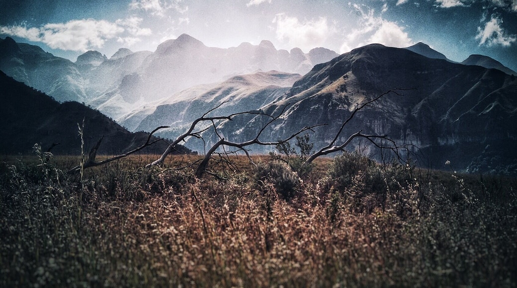 Calm before the storm...
The Drakensberg is the name given to the eastern portion of the Great Escarpment, which encloses the central Southern African plateau. The Great Escarpment reaches its greatest elevation in this region – 2,000 to 3,482 metres (6,562 to 11,424 feet). It is located in South Africa and Lesotho
#OnTheRoad
#GreatOutdoors