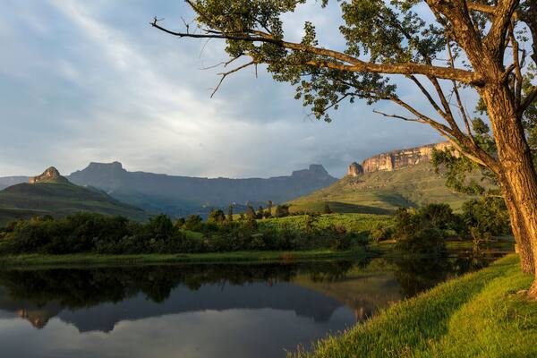 A calm lake with a tree in the foreground, surrounded by rolling hills and distant cliffs.