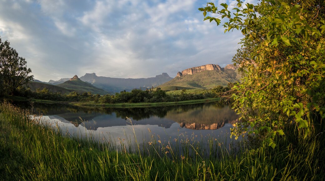 Parc national de Royal Natal