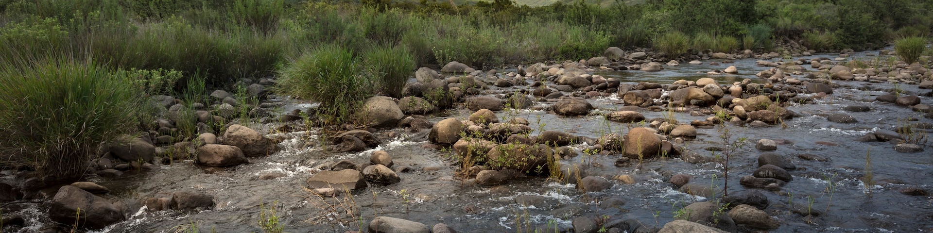 Royal Natal National Park with a view of the Amphitheatre. UKhahlamba Drakensberg Park. KwaZulu Natal. South Africa.