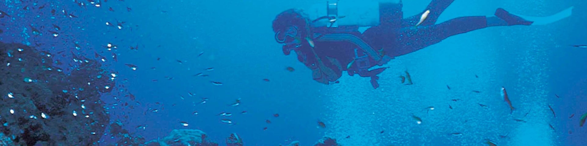 Sodwana Bay Beach showing colourful reefs, marine life and scuba