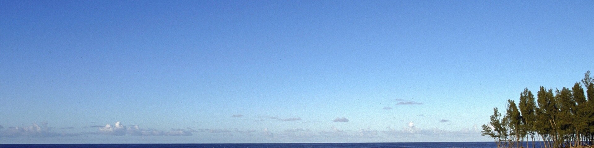 Sodwana Bay Beach showing a beach, landscape views and skyline