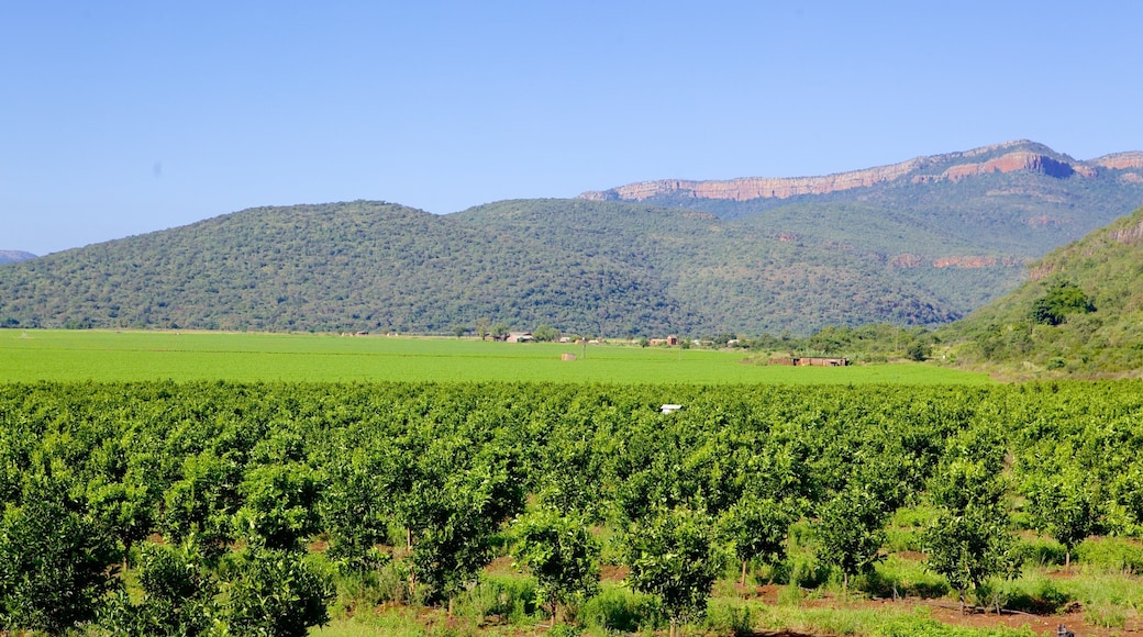 Mpumalanga - Limpopo which includes tranquil scenes and landscape views